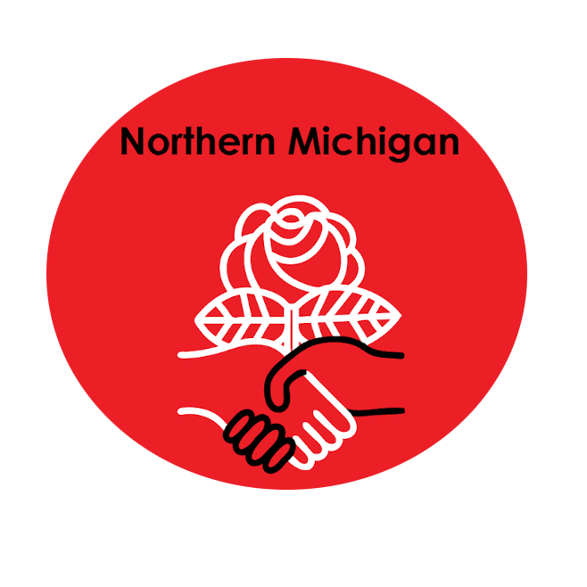 Northern MI DSA Logo